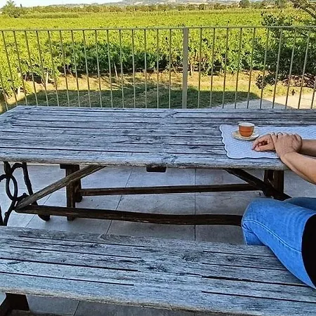 Ca'bacchini House Con 6 Alloggi Κατάλυμα σε φάρμα