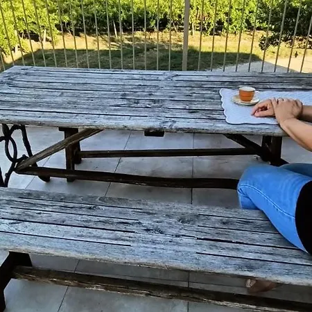 Ca'bacchini House Con 6 Alloggi * San Giovanni In Marignano