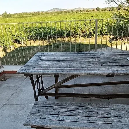 Ca'bacchini House Con 6 Alloggi * San Giovanni In Marignano