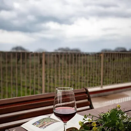 Ca'bacchini House Con 6 Alloggi Κατάλυμα σε φάρμα