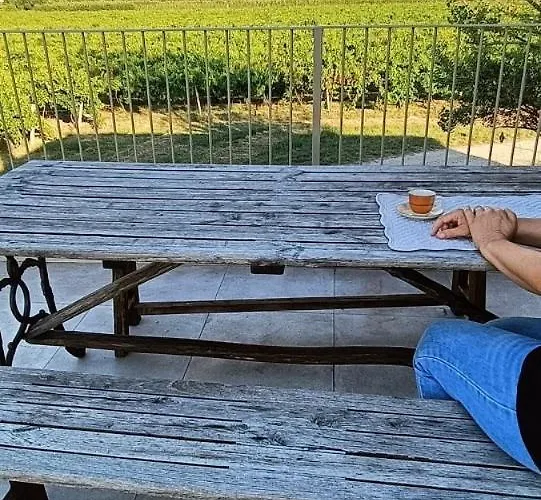 Ca'bacchini House Con 6 Alloggi Alloggio per agriturismo